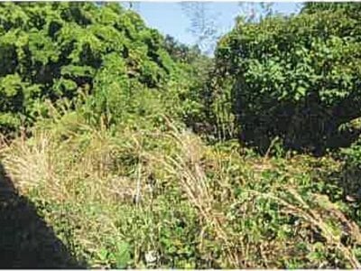 (値下げ) 熊本県宇城市 松橋駅 戸建て 191万円の競売物件情報 #11