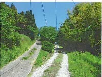 宮城県宮城郡松島町 松島海岸駅 土地 29万円の競売物件情報 #4