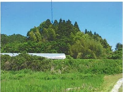 宮城県宮城郡松島町 松島海岸駅 土地 29万円の競売物件情報 #7