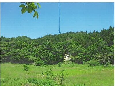 宮城県宮城郡松島町 松島海岸駅 土地 29万円の競売物件情報 #8