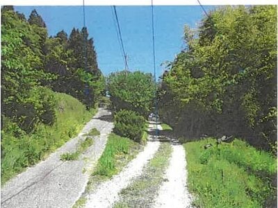 宮城県宮城郡松島町 松島海岸駅 土地 46万円の競売物件情報 #4