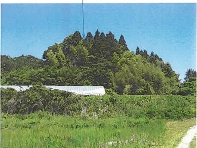 宮城県宮城郡松島町 松島海岸駅 土地 46万円の競売物件情報 #7