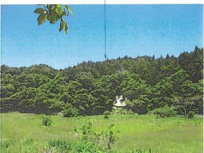 宮城県宮城郡松島町 松島海岸駅 土地 46万円の競売物件情報 #8