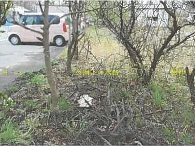 秋田県南秋田郡五城目町 八郎潟駅 土地 80万円の競売物件情報 #2