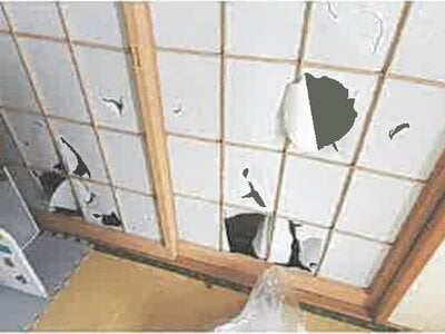 埼玉県川越市 南大塚駅14分 戸建て 1,334万円の競売物件情報 #5