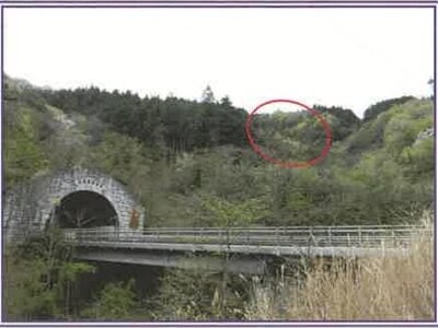 (値下げ) 山梨県南巨摩郡身延町 身延駅17分 土地 16万円の競売物件情報 #2