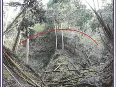 (値下げ) 山梨県南巨摩郡身延町 身延駅17分 土地 16万円の競売物件情報 #4