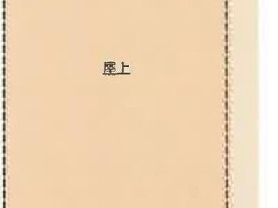 山梨県笛吹市 春日居町駅23分 戸建て 1億1,778万円の競売物件情報 #17