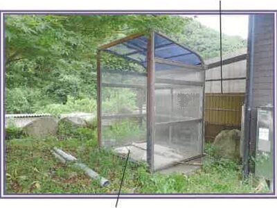 (値下げ) 山梨県甲州市 塩山駅 戸建て 441万円の競売物件情報 #10