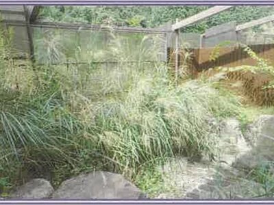 (値下げ) 山梨県甲州市 塩山駅 戸建て 441万円の競売物件情報 #45