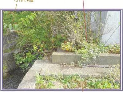 山梨県韮崎市 新府駅18分 戸建て 137万円の競売物件情報 #14