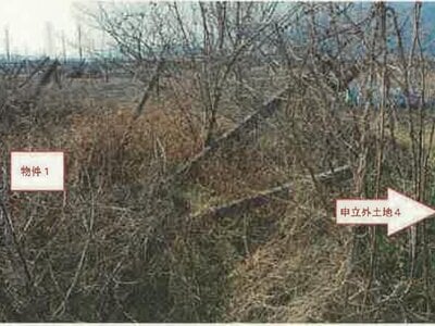 (値下げ) 山梨県南アルプス市 塩崎駅 農地 33万円の競売物件情報 #11