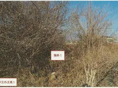 (値下げ) 山梨県南アルプス市 塩崎駅 農地 33万円の競売物件情報 #5