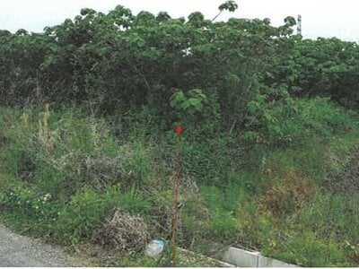 岐阜県岐阜市 関駅 土地 266万円の競売物件情報 #1