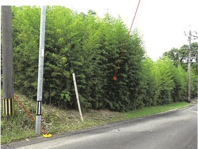 (値下げ) 鹿児島県志布志市 志布志駅 土地 213万円の競売物件情報 #1