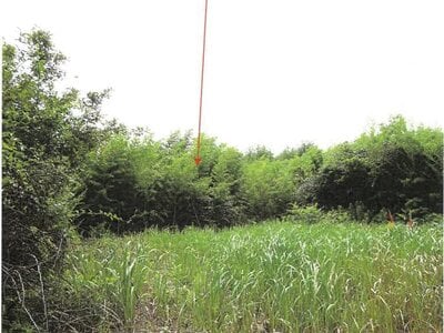 (値下げ) 鹿児島県志布志市 志布志駅 土地 213万円の競売物件情報 #3