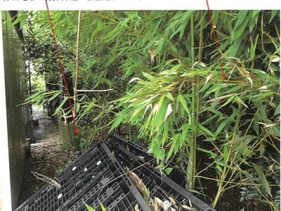 (値下げ) 鹿児島県志布志市 志布志駅 土地 213万円の競売物件情報 #4