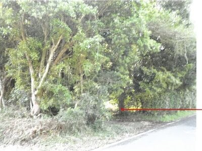 鹿児島県肝属郡肝付町 戸建て 98万円の競売物件情報 #19