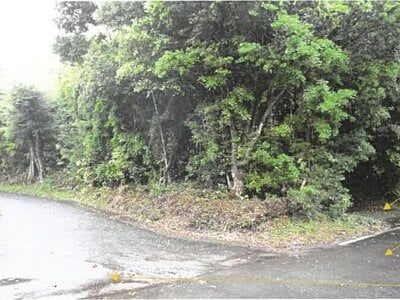 鹿児島県肝属郡肝付町 戸建て 98万円の競売物件情報 #3