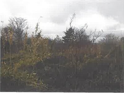 北海道茅部郡森町 掛澗駅8分 土地 5万円の競売物件情報 #1