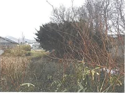 北海道茅部郡森町 掛澗駅8分 土地 5万円の競売物件情報 #3