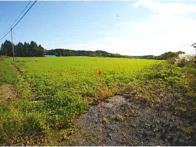 青森県上北郡東北町 乙供駅 農地 304万円の競売物件情報 #1