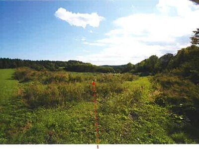 青森県上北郡東北町 乙供駅 農地 304万円の競売物件情報 #2