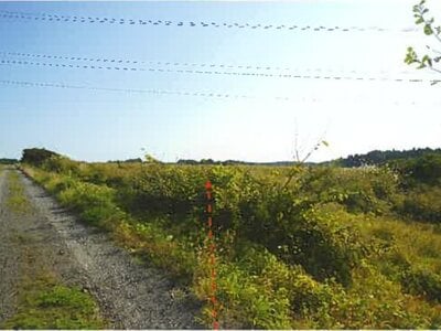 青森県上北郡七戸町 乙供駅 農地 207万円の競売物件情報 #1