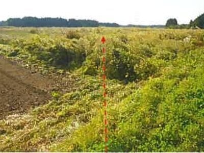 青森県上北郡七戸町 乙供駅 農地 207万円の競売物件情報 #2