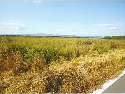 青森県上北郡七戸町 乙供駅 農地 3万円の競売物件情報 #2