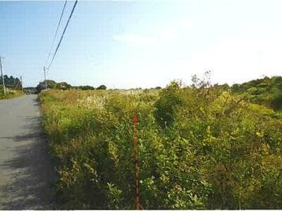 青森県上北郡東北町 乙供駅 農地 186万円の競売物件情報 #1