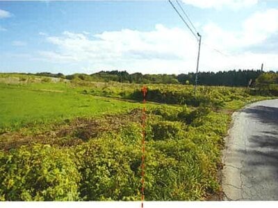 青森県上北郡東北町 乙供駅 農地 261万円の競売物件情報 #1