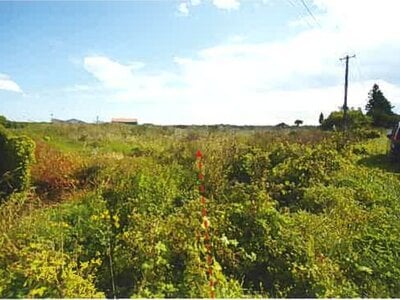 青森県上北郡東北町 乙供駅 農地 640万円の競売物件情報 #2