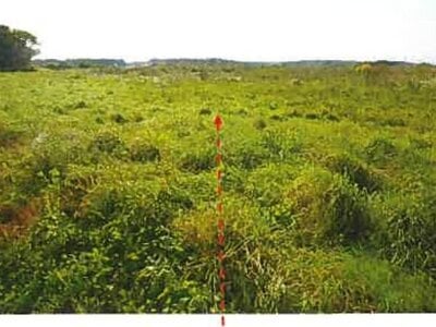 青森県上北郡東北町 乙供駅 農地 640万円の競売物件情報 #3
