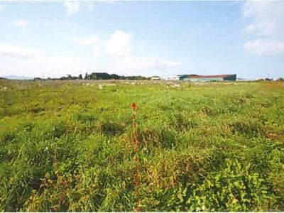 青森県上北郡東北町 乙供駅 戸建て 768万円の競売物件情報 #6