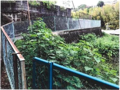 神奈川県足柄下郡湯河原町 真鶴駅7分 農地 125万円の競売物件情報 #1