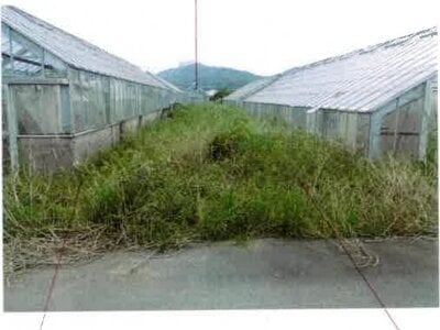 愛知県田原市 農地 30万円の競売物件情報 #11