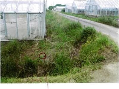 愛知県田原市 農地 30万円の競売物件情報 #12