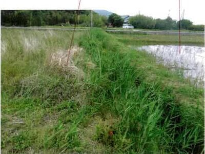 愛知県田原市 農地 30万円の競売物件情報 #4