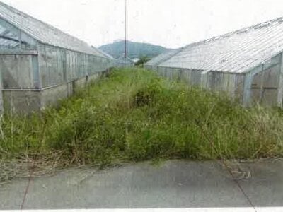 愛知県田原市 農地 31万円の競売物件情報 #11