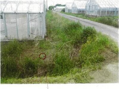 愛知県田原市 農地 31万円の競売物件情報 #12