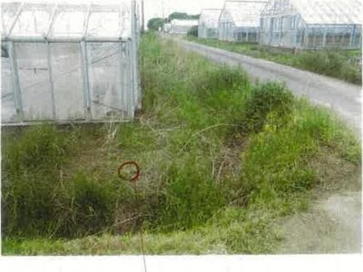 愛知県田原市 農地 61万円の競売物件情報 #12