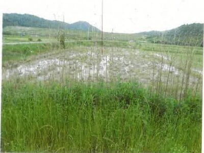愛知県田原市 農地 61万円の競売物件情報 #5