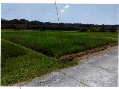 愛知県豊橋市 豊川駅 農地 97万円の競売物件情報 #1