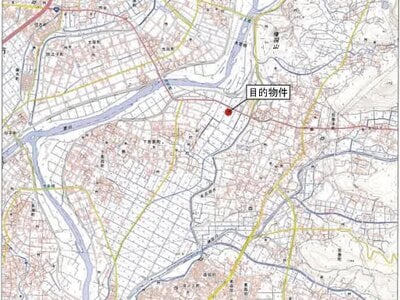 愛知県豊橋市 豊川駅 農地 97万円の競売物件情報 #3