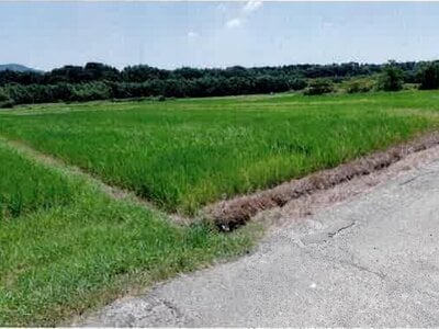 愛知県豊橋市 豊川駅 農地 97万円の競売物件情報 #4