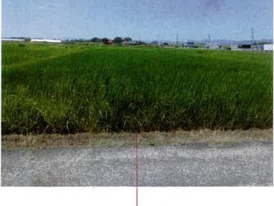愛知県豊橋市 豊川駅 農地 97万円の競売物件情報 #1