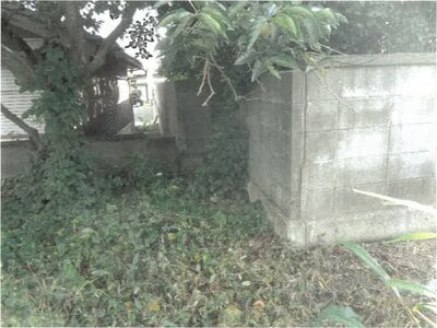 徳島県板野郡上板町 牛島駅 農地 69万円の競売物件情報 #5