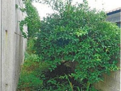 (値下げ) 愛媛県今治市 伊予富田駅30分 戸建て 372万円の競売物件情報 #7
