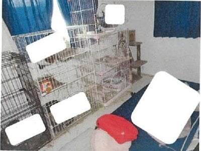 (値下げ) 愛媛県西条市 伊予三芳駅11分 戸建て 352万円の競売物件情報 #3